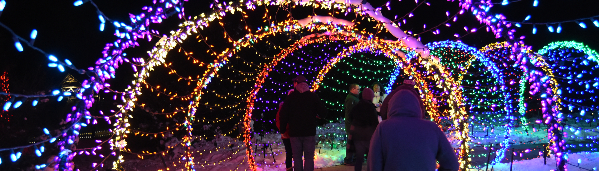 WPS garden of lights